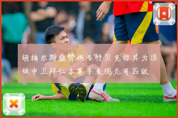 胡梅尔斯盛赞施洛特贝克称其为顶级中卫拜仁本赛季表现无可匹敌