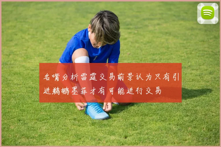 名嘴分析雷霆交易前景认为只有引进鹈鹕墨菲才有可能进行交易