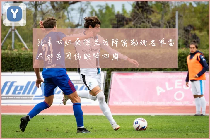 扎卡回归桑德兰对阵富勒姆名单雷尼尔多因伤缺阵四周