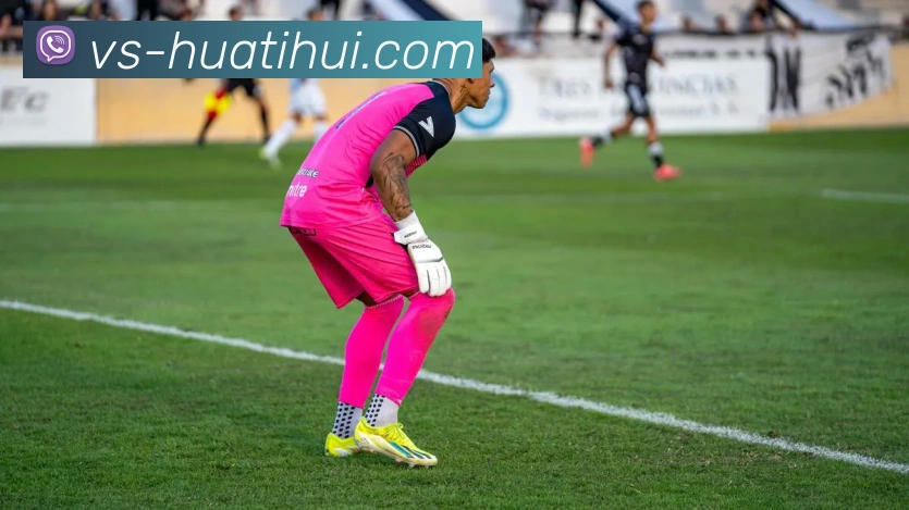 华体会体育服务体系